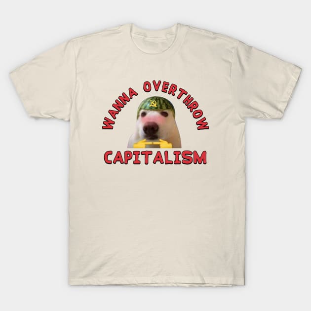 Wanna Overthrow Capitalism - Leftist Meme T-Shirt by Football from the Left